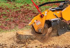 Lawn Pest Prevention in Allardt, TN